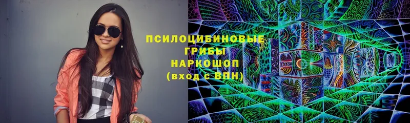 Псилоцибиновые грибы Magic Shrooms  сколько стоит  Буй 